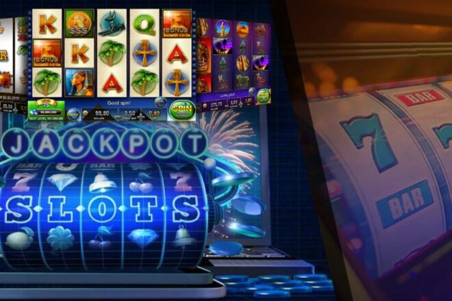 Discover the Thrill of Betting at DogsFortune Casino Platform